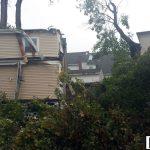 tree damage east greenwich