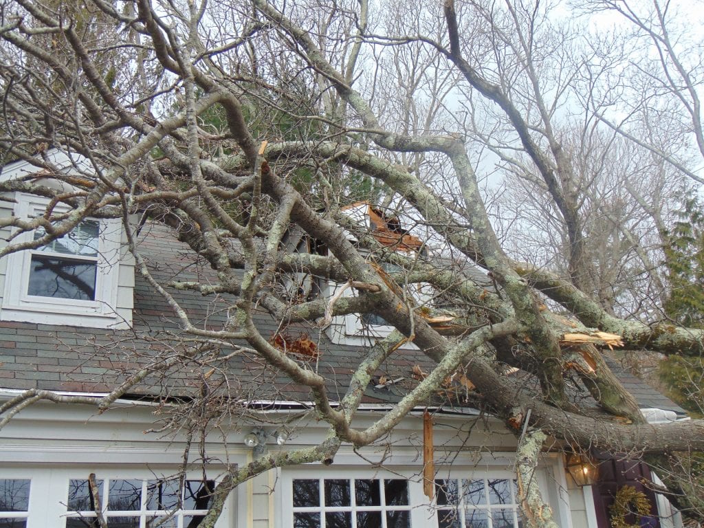 storm damage in warwick