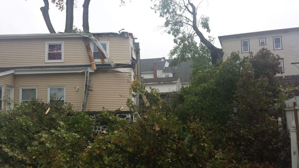 Tree collapsed on home after heavy wind