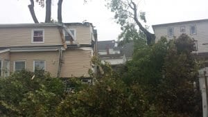 Tree collapsed on home after heavy wind