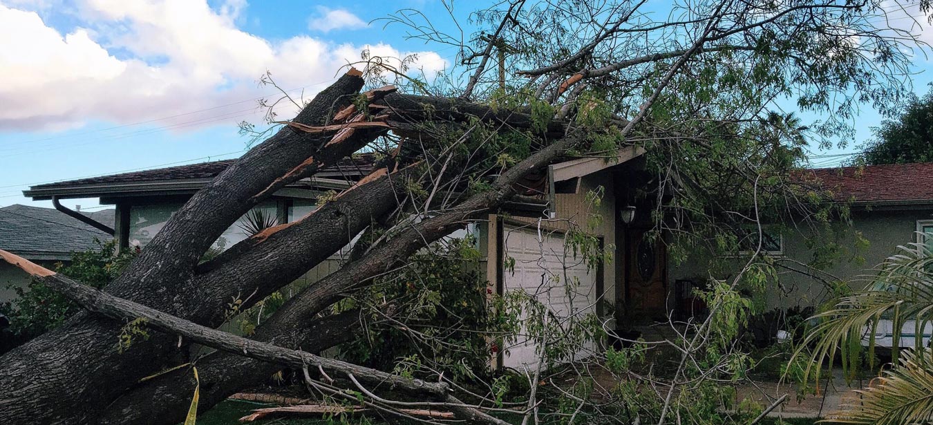 storm-damage-ri-scaled new