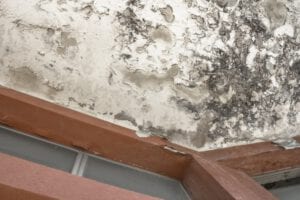 fix mold damage in ri