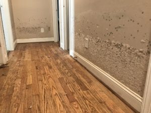 flood damage in rhode island
