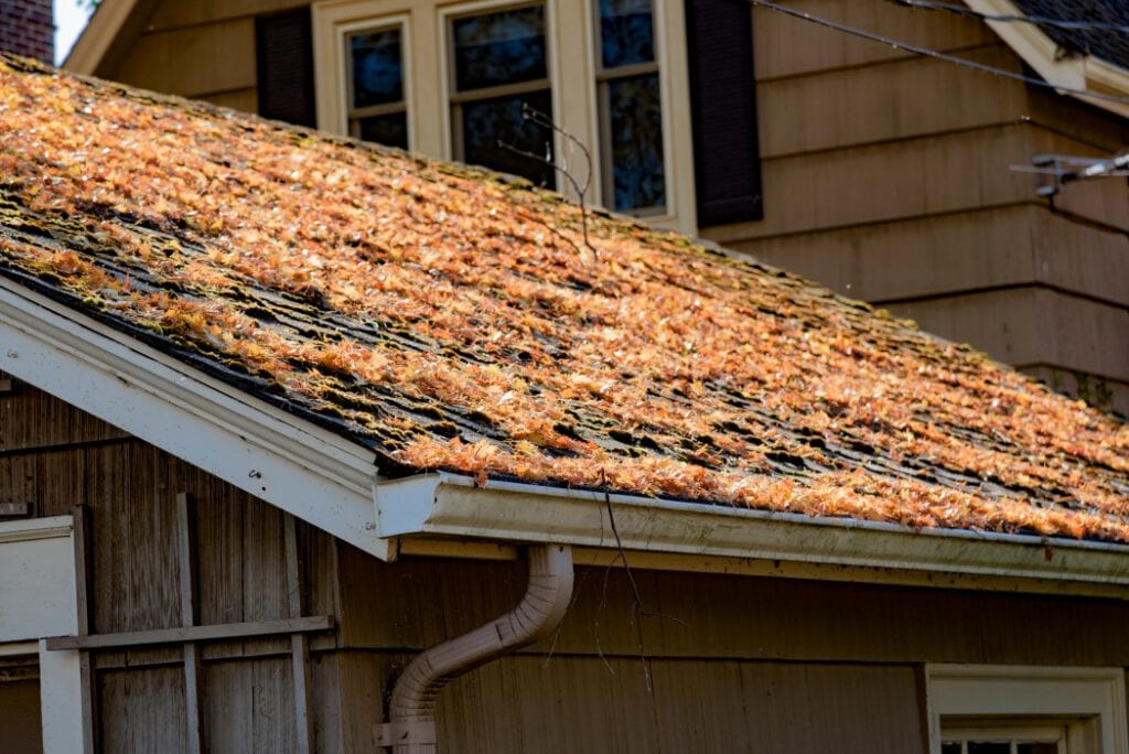 Leaf covered roof and gutters