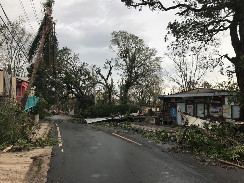 storm damage in warwick