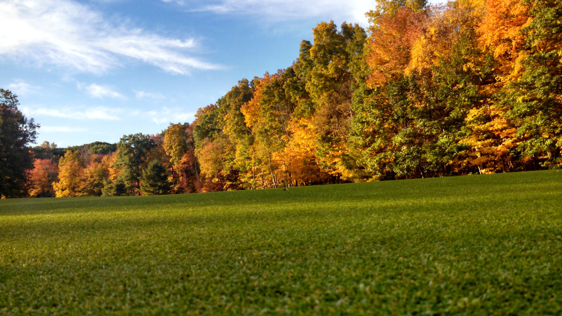 prepare your house for the fall