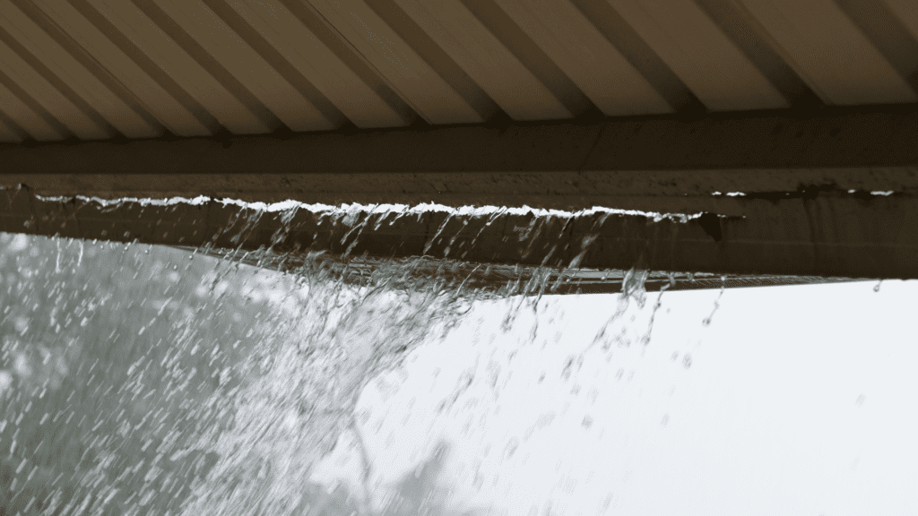 what to do if your roof is leaking