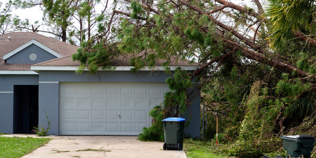 A fallen tree that is leaning against a house