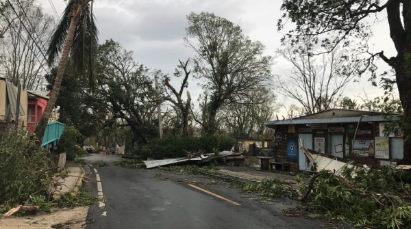 storm damage in warwick